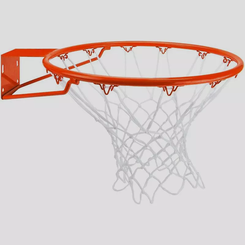 Wie entwickeln sich Basketballkörbe für moderne Sportanlagen?